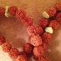 Rudraksha-With-Turquoise-and-New-Jade